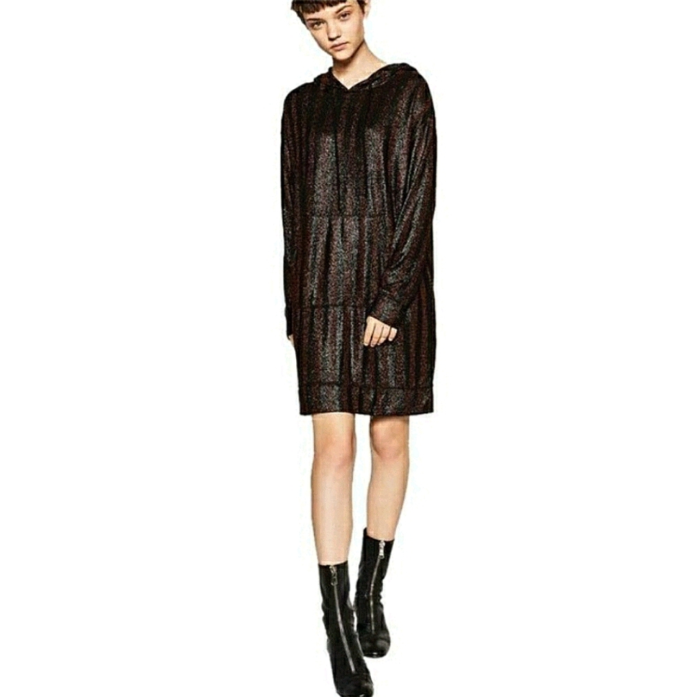 Zara Striped Metallic Hoodie Dress
